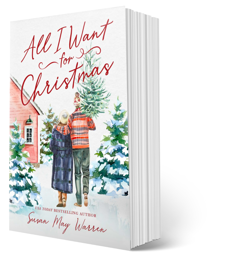 Cozy christmas novella